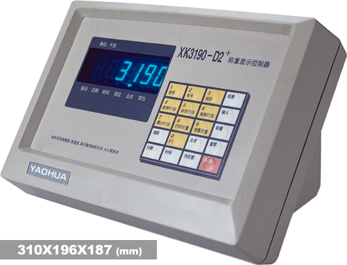 模拟式仪表-耀华D2+